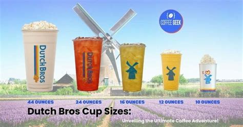 Dutch Bros Cup