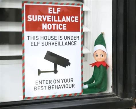 Elf Surveillance Image 10