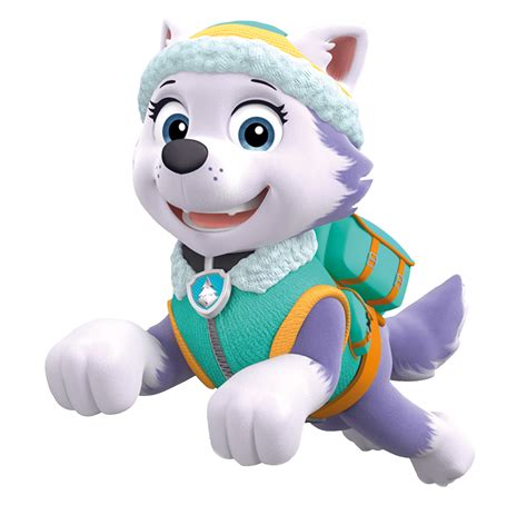 Everest Paw Patrol