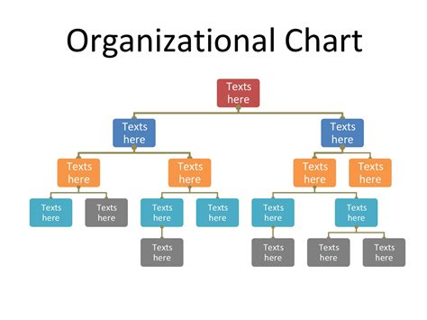 Example of a Hybrid Organizational Chart