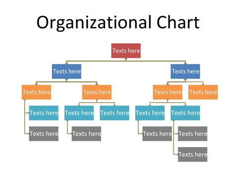 Example of a Hierarchical Organizational Chart