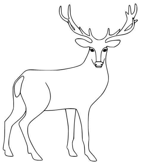 Female deer coloring page