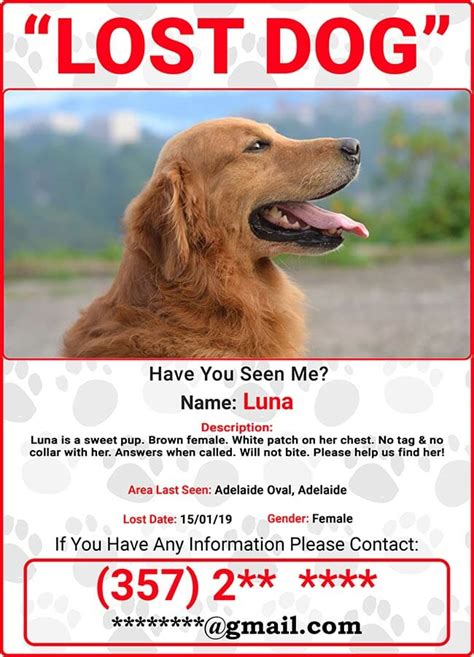 Tips for Finding Lost Pets