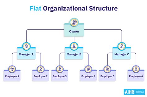 Flat Organizational Structure