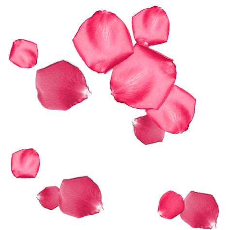 Description of Flower Petal Animations