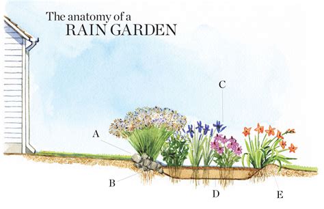 Description of Flower Rain Template Designs