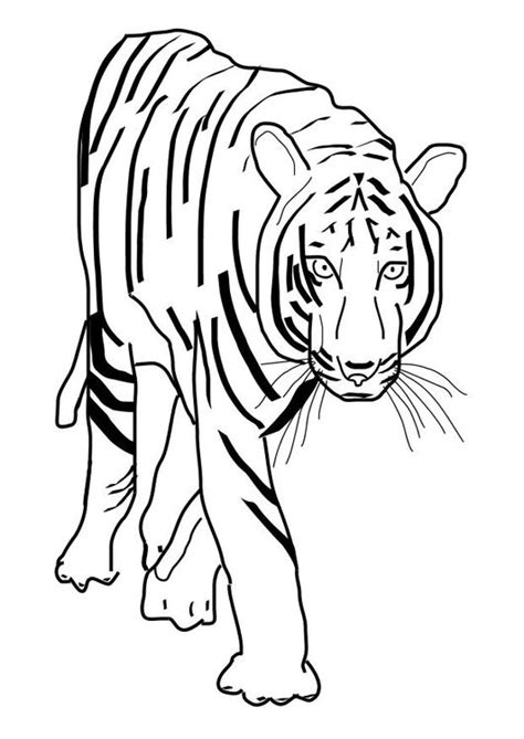 Free Coloring Pages