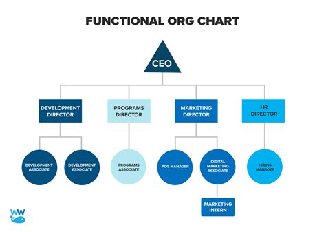 Functional Organizational Chart Example