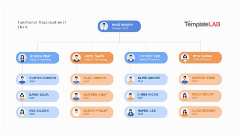 Functional Organizational Chart Template