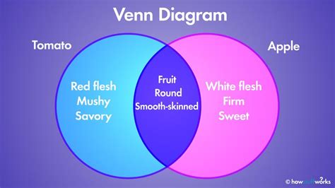 Future of Venn Diagrams