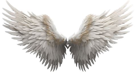 Gallery of Angel Wings Templates