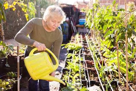 Gardening Activities for Dementia Patients