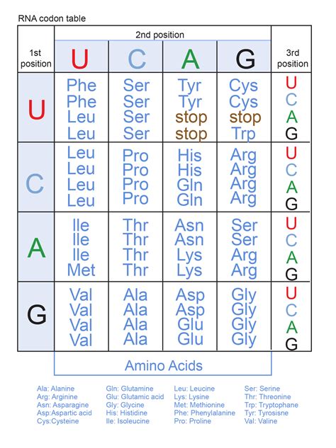 Genetic Code