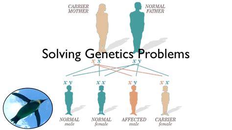 Genetics Problems