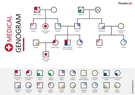 Description of Genogram Template 5