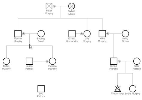 Description of Genogram Template 6