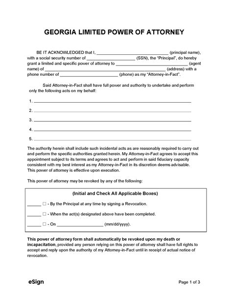 Georgia POA Form Examples