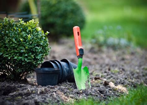 Get Bloom with Ebt Gardening Tools