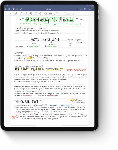 Goodnotes Study Notes Template