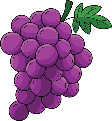 Grape Clipart