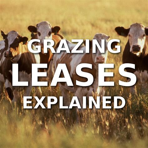 Grazing Lease Challenges