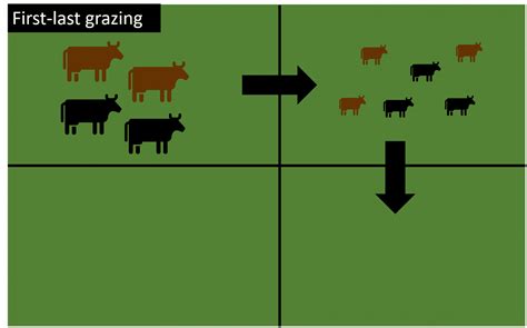 Grazing Lease Strategies