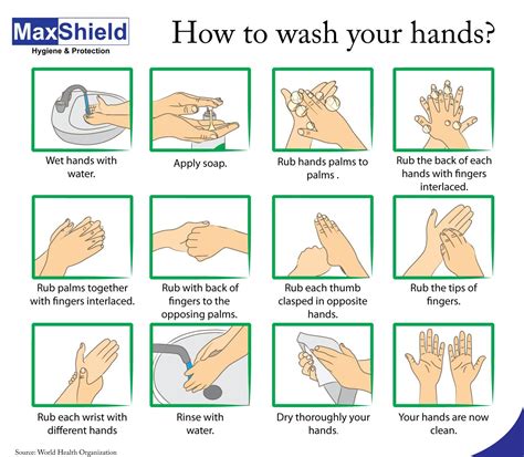 Hand Hygiene Procedures