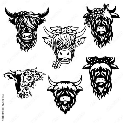 Highland Cow Template 1