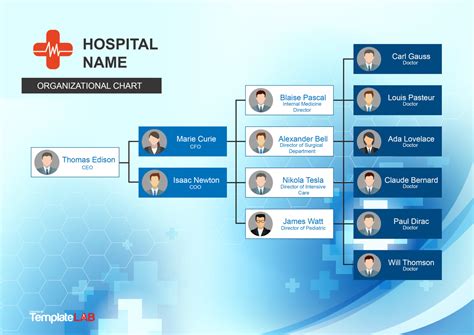 Hospital Department Organizational Chart