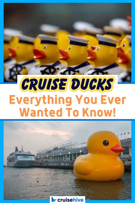 How Cruising Ducks Work