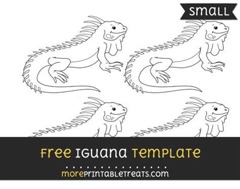 How to Use Iguana Templates