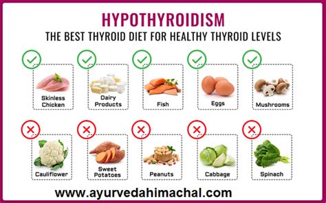 Hyperthyroidism Diet