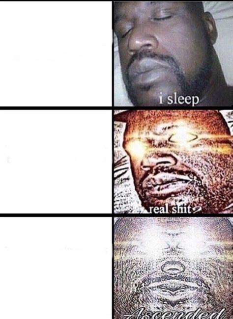 I Sleep Meme Template 10