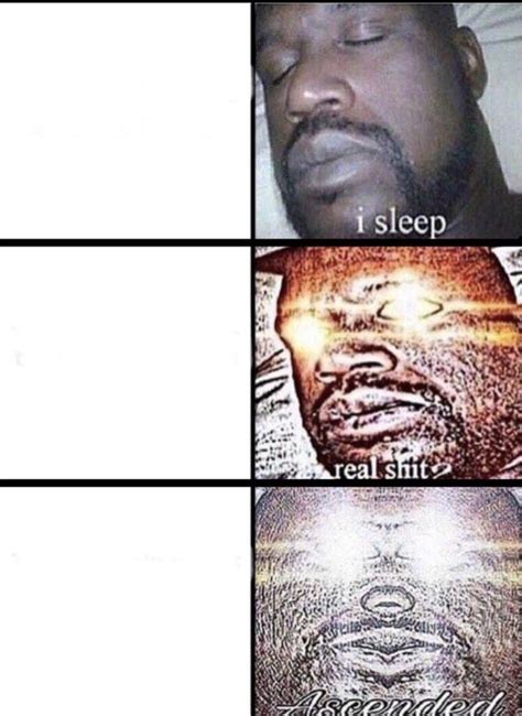 I Sleep Meme Template 4