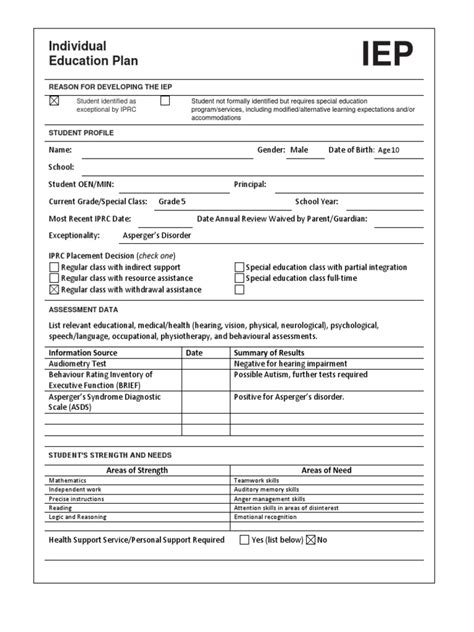 IEP Printable Example Page