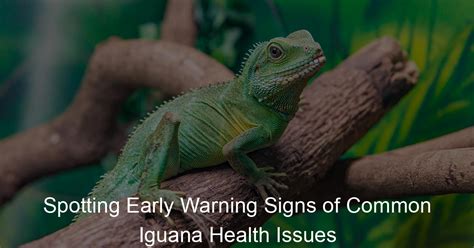 Iguana Health