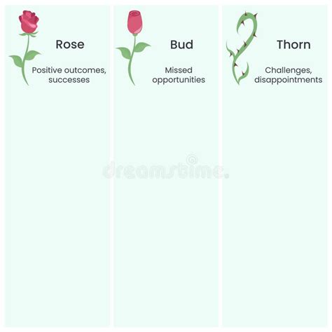 Steps to Implement the Rose Bud and Thorn Template