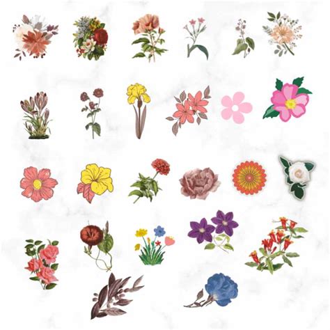 Introduction to Flower Stickers