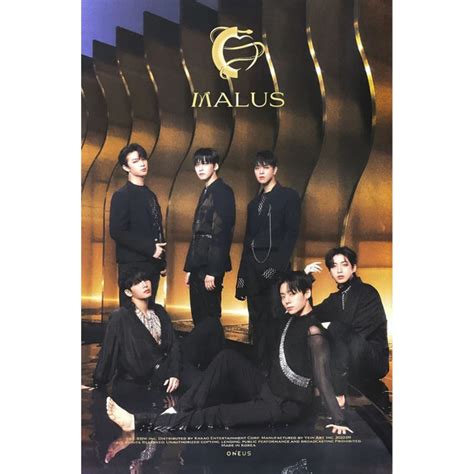 Understanding the Basics of Oneus Malus