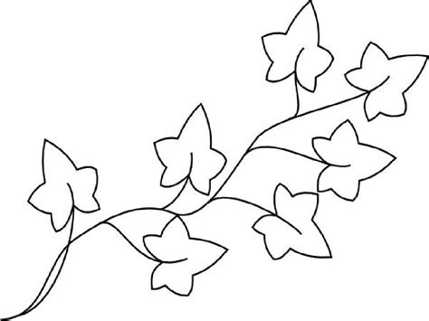 Ivy Coloring Pages for Plant Lovers