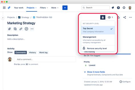 Jira Import Process