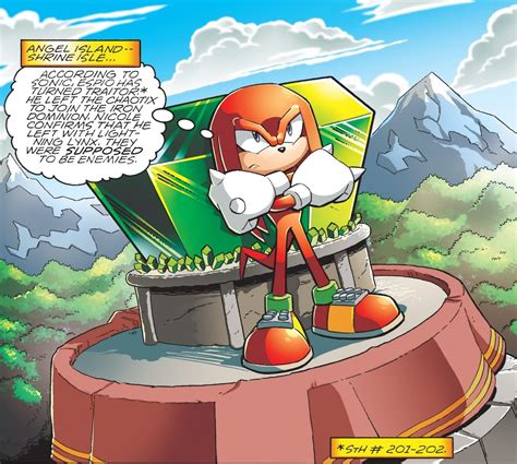 Knuckles on Duty