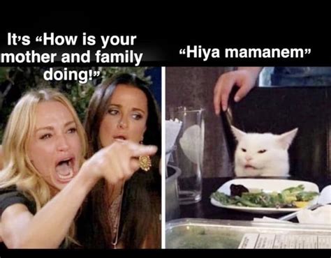 Lady Yelling At Cat Meme Example 2