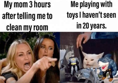 Lady Yelling At Cat Meme Example 6