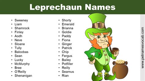 Leprechaun Name Introduction