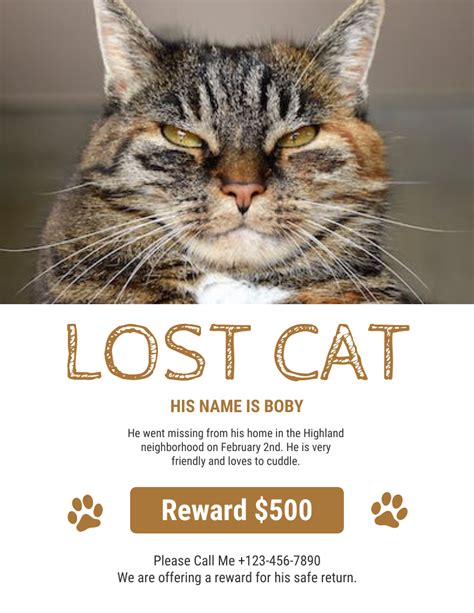 Example of a Lost Cat Flyer