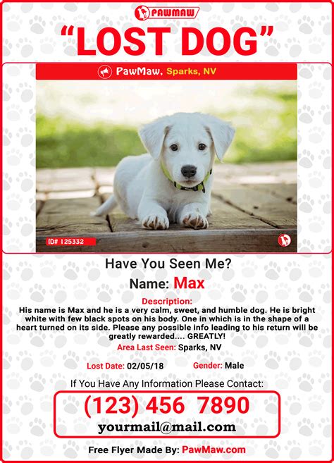 Description of Lost Pet Brochure Templates