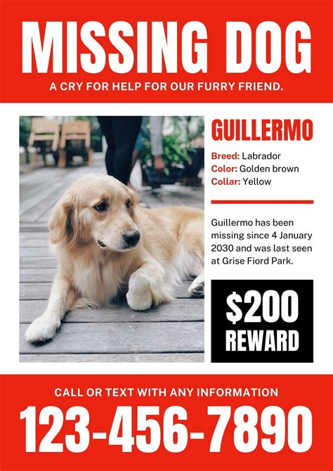 Description of Lost Pet Flyer Templates