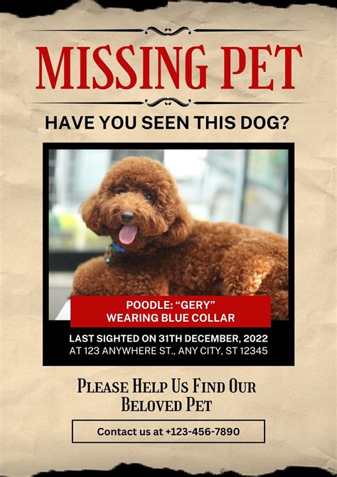 Example of a Lost Pet Poster