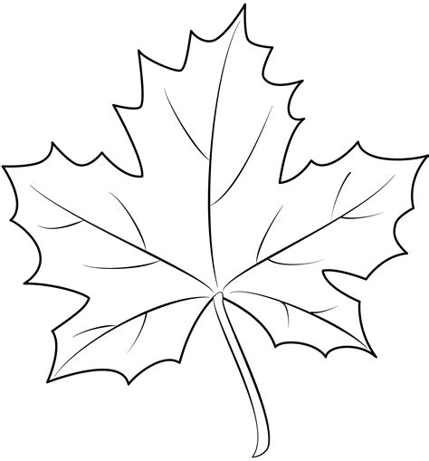 Maple Leaf Template 3 3D Design